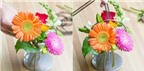 4 cách cắm hoa đẹp mà đơn giản đến không ngờ
