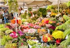 6 chợ hoa nổi tiếng nhất thế giới