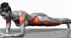 6 tác dụng của bài tập đo sàn (Plank excersize)