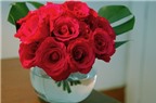Các cách cắm hoa hồng để bàn đẹp trang trí nhà đón Tết