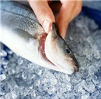 Cách chọn mua cá tươi ngon – Bí quyết phân biệt cá tươi và cá ươn
