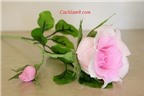 Cách làm hoa hồng bằng giấy nhún đẹp như hoa thật