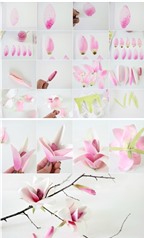 Cách làm hoa mộc lan màu hồng siêu đáng yêu