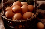 Cách lựa chọn loại trứng phù hợp