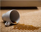 Cách tẩy vết cà phê dính trên thảm