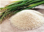 Dùng bột gạo nếp để chữa bệnh lý đường ruột thế nào?