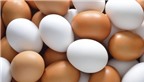 Mẹo bảo quản trứng không cần tủ lạnh