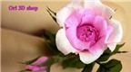 Những cách làm hoa hồng bằng giấy đẹp nhất