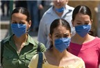 Phòng chống bệnh cúm A/H5N1 ở người