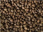 Protein trong cà phê có tác dụng an thần và giảm đau