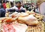 Tác hại khi ăn gà tồn dư kháng sinh
