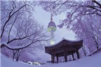 Tháp Namsan – điểm đến lãng mạn ‘đốn tim’ khách du lịch Seoul