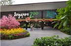 TripAdvisor liệt kê 50 điểm đến mang tính biểu tượng của du lịch Singapore