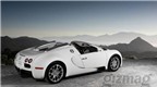 Bugatti Veyron 16.4 Grand Sport, siêu xe mui trần nhanh nhất