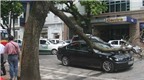 Cành cây rơi làm bẹp xe BMW