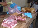 Một gia đình bị bệnh tả sau khi ăn thịt chó