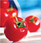 Cà chua và khả năng bảo vệ sức khỏe phòng chống ung thư