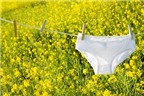 5 lý do bạn nên mặc underwear chất liệu cotton