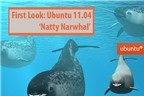 3 tính năng mới cáu trong Ubuntu 11.04