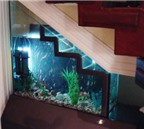 Bạn có nên đặt bể cá ở gầm cầu thang?
