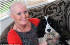 Chú chó giúp chủ phát hiện ung thư