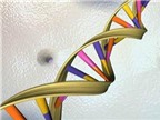 Thử ADN giúp ngăn ngừa bệnh tật