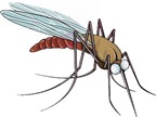 Cách phòng tránh và xử trí khi bị côn trùng tấn công