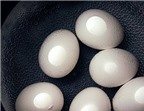 Dấm trứng gà: Bổ dưỡng và chữa được nhiều bệnh