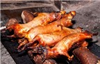 Các món nhậu đặc sản từ thịt chuột... Hamster ở Peru