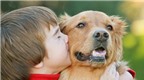 Chó giúp ngăn ngừa bệnh hen suyễn ở trẻ