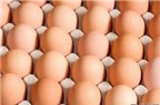 Cách chọn và bảo quản trứng