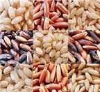 Cách dùng gạo lứt dưỡng sinh