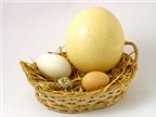 Trứng ngỗng có tốt hơn trứng gà?