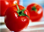 Cà chua giúp ngăn ngừa những rối loạn lipid máu