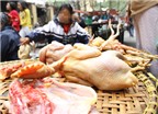 Tác hại khôn lường khi ăn gà tồn dư kháng sinh