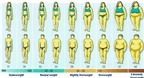 Chỉ số BMI: Thước đo của bệnh tật?