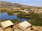 Cách sống kỳ lạ ở làng nổi hồ Titicaca