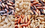 Cách giảm cân hiệu quả từ gạo lứt