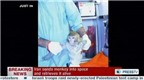 Iran đưa khỉ lên vũ trụ thành công