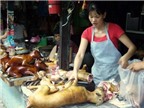 Chuyện lạ: Đầu năm cả làng ăn thịt chó lấy may