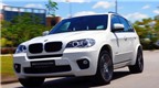 BMW X5 Performance Edition cập bến 