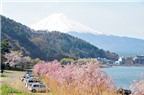 Hấp dẫn chuyến du lịch Hakone