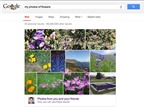Google Search bổ sung tính năng tìm nhanh ảnh cá nhân