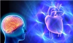 Trái tim cũng có trí thông minh?