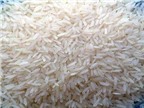 Phát hiện thạch tín trong gạo gây ung thư