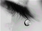 Tại sao nước mắt lại có vị mặn?