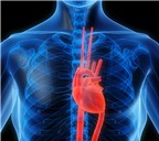 Những nhầm tưởng nghiêm trọng về bệnh nhồi máu cơ tim
