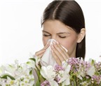 7 mẹo giúp bạn đẩy lùi chứng ngạt mũi khó chịu