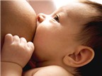 Sữa sau sinh: Ngực lép đừng lo