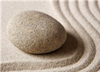 Bài học cuộc sống từ cát và đá
